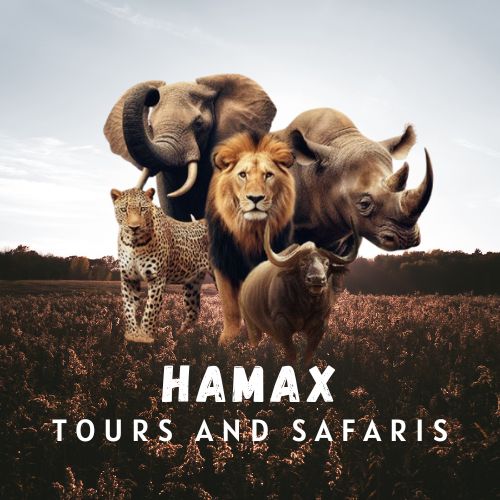 Hamax Tours and Safaris