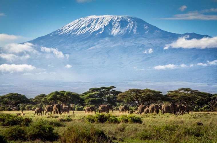 5-Day Amboseli National Park Mombasa